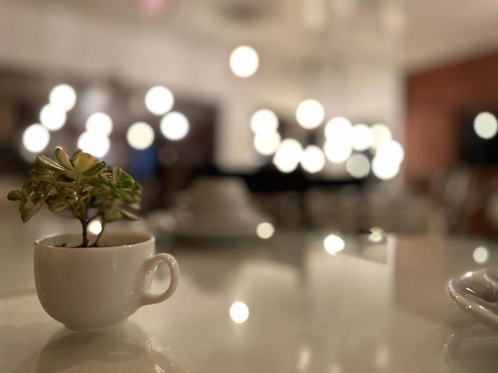 Pousada Canela Garden المظهر الخارجي الصورة